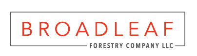 Broadleaf Forestry